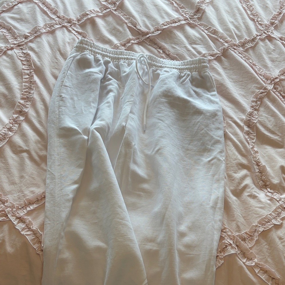 Aritzia thesis pant linen